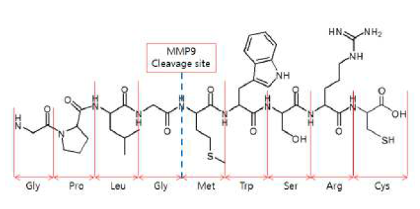 MMP-9에 대응되는 Pepide 구조