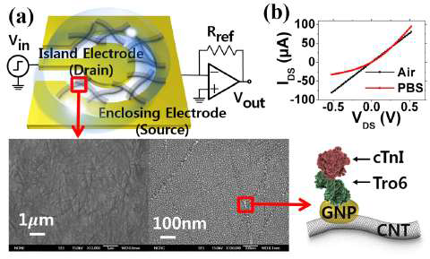 C-chip 구조와 gold nanoparticle이 decorated된 carbon nanotube channel