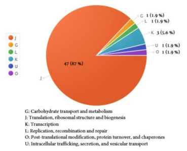 박테리아 core-gene들의 functional category