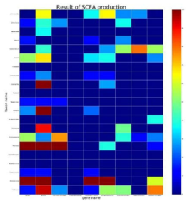 메타유전체 내 각 genus에 대하여 다양한 SCFA 합성 대사경로 별 RPKM 값을 나타낸 heatmap. 붉은색으로 갈수록 RPKM 값이 더 큰, 즉 더 많은 gene이 포함되어 있는 대사 경로이다