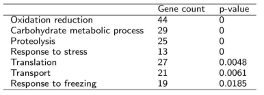 과발현된 siRNA 전사체들의 표적 유전자들에게서 검색된 GO 텀들과 이들의 유의미 값