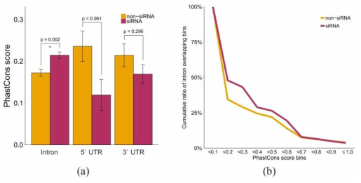 Intronic siRNA 클러스터 지역의 서열들은 타 식물에서 높은 보존율을 보였다. (a) 보존율을 intron, 5`UTR,와 3`UTR 간 비교하였으며 intron 지역의 보존율만이 유의미하게 높았다. (b) siRNA와 비-siRNA 지역의 누적 보존율 값을 비교하여 나타냄