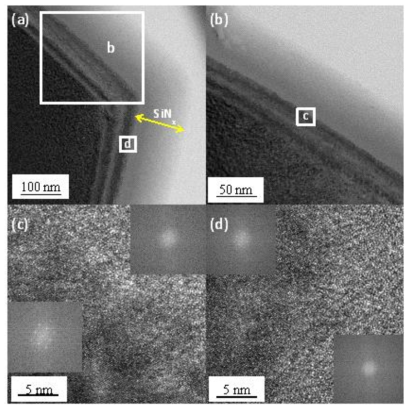 Cs-TEM images of the micro-textured cells irradiated with E-beam for a current of 6 mA