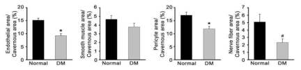 Quantitative analysis of endothelial cells, smooth muscle cells, pericytes, and nerve fibers in the corpus cavernosum of normal or diabetic mice. Diabetes was induced in 8-week-old C57BL/6J mice by intraperitoneal injections of streptozotocin (50 mg/kg) for 5 days consecutively. Eight weeks after diabetes was induced, the penis was harvested for histologic examination. Sixteen-week-old normal mice were served as a control. An image analyzer was used to quantitate the CD31-, SMA-, NG2-, and βIII-tubulin-immunopositive area in each group. Each bar depicts the mean ± standard deviations from N = 6 animals per group