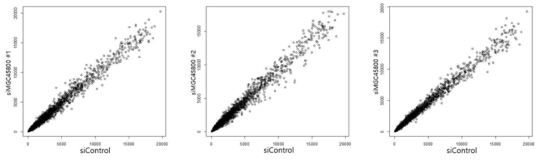 EPEL knockdown 세포주 모델을 이용한 transcriptome profiling