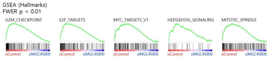 Hallmarks gene set들을 이용한 GSEA 분석 결과