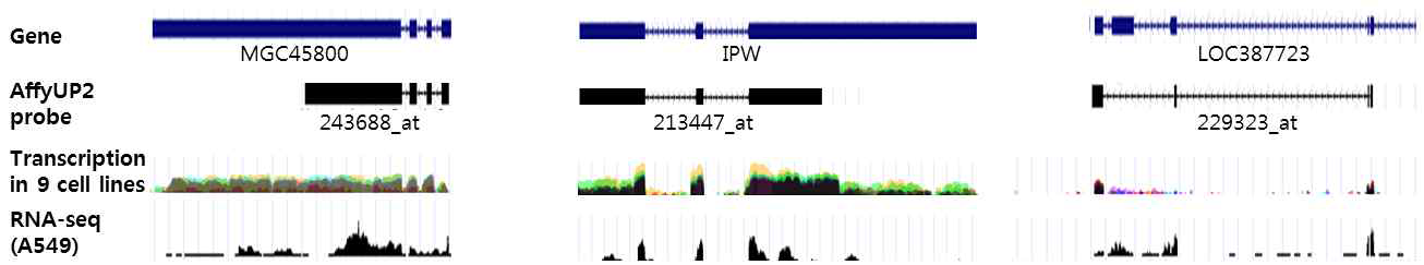 lncRNA 유전자의 구조와 ENCODE RNA-seq 상의 read 분포