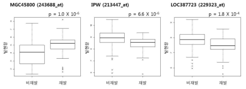 폐암의 재발에 따른 lncRNA 후보 발현량의 차이