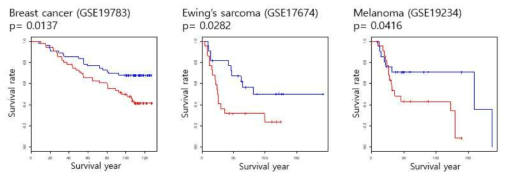 다양한 암종에서 lncRNA EPEL의 생존 분석 (KM-curve, log-rank test) 결과