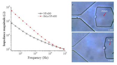 NP-rGO 전극위 세포 배양액 내부에 Hela 세포가 포획되어 있거나 그렇지 않은 경우의 임피던스 크기 비교