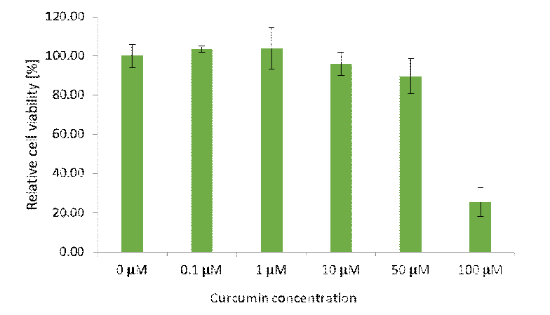 Curcumin이 MKN-1세포 성장에 미치는 영향을 MTT assay로 측정하여 비교