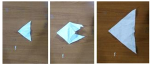 Blossom method – segmented method