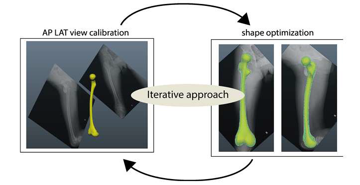 통계적 모델을 이용한 촬영환경 보정하고, 보정된 환경에서 대퇴골의 모델을 최적화한다. 두 개의 과정을 반복함(iteration)으로써 대퇴골을 정확히 구현할 수 있다