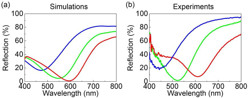 s-polarization 입사광 하에서 (a) 계산된 반사 스펙트럼 (수직 입사), (b) 측정된 반사 스펙트럼 (수직 입사)