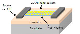 골드 나노 패턴까지 완성된 MoS2 포토트랜지스터의 모식도