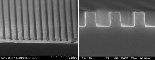 1D 폴리머 나노 패턴의 SEM 이미지