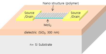 임프린트 공정을 통한 나노구조가 추가된 MoS2 포토트랜지스터 모식도