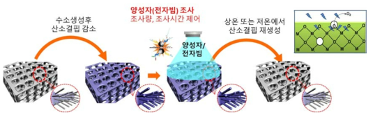 양성자 및 전자빔 조사를 통한 저온 산소 결핍 재생 개념도