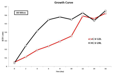 Chlorella vulgaris 의 광조건에 따른 성장 곡선