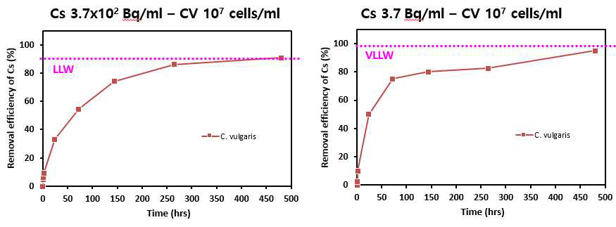 중준위(3.7×102 Bq/ml)와 저준위(3.7 Bq/ml) 방사성 Cs 오염 환경 내 C. vulgaris의 Cs 제거효율