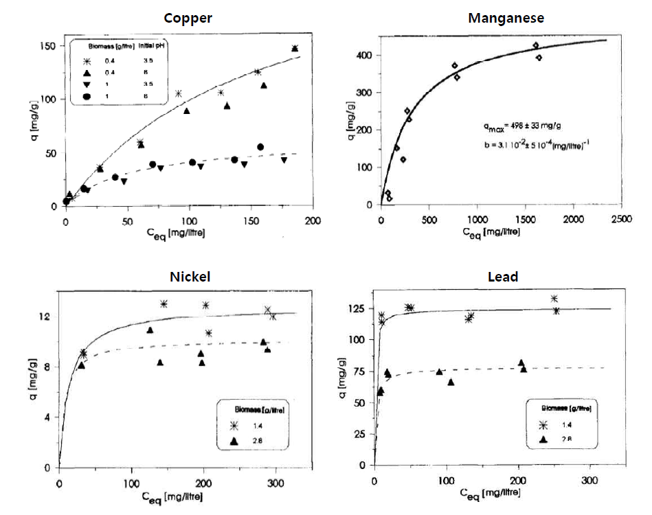 Arthrobacter sp.를 이용한 copper, manganese, nicakel과 lead의 등온 흡착 곡선의 실험적 결과와 fitting 곡선 결과 [F. Veglio, 1996]