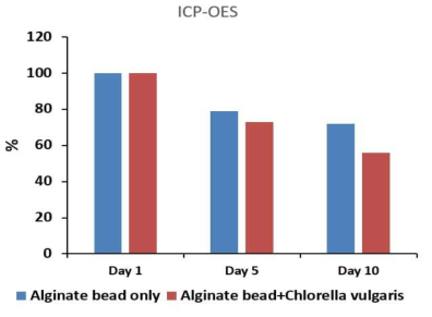 C. vulgaris 알긴산 비드와 반투과막 폴리카보네이트 모듈 비방사성 100 ppb Sr(NO3)2 제거율