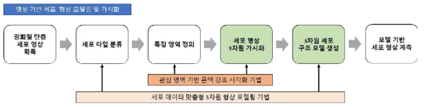 영상 기반 세포 형상 모델링 및 가시화 파이프라인