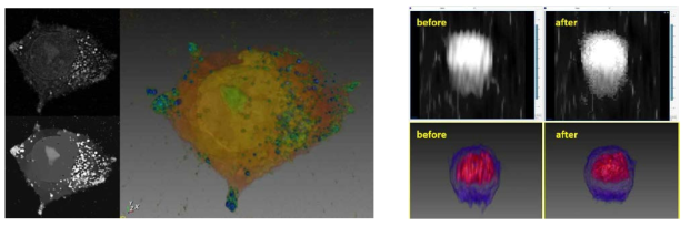 Edge-Aware Volume Smoothing Using L0 Gradient Minimization (좌) LPG-PCA 알고리즘 기반 영상 Denoising (우)