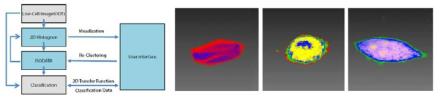 Clustering 기반 관심 영역 자동 분할 프레임워크(좌) 자동으로 생성된 관심 영역 정보를 기반으로 랜더링 된 세포 영상 (우)