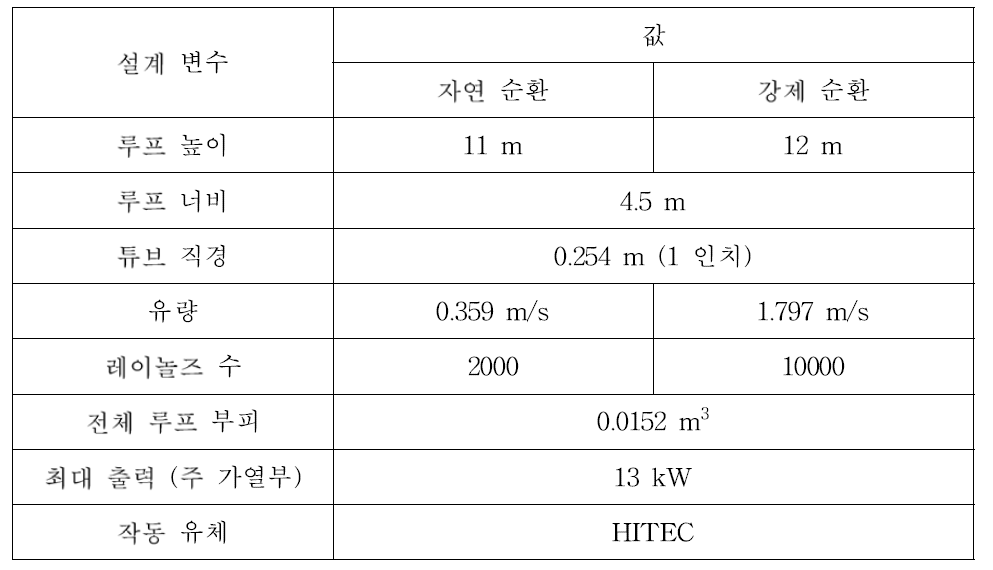 대형 상사염 실험장치 Nu-HOPE의 구조 설계 수치