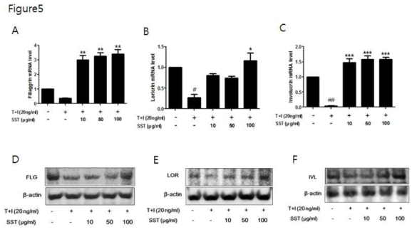 HaCaT cells were pretreated with SST for 30 min, and then stimulated with TNF-α/IFN-γ for 24 h. mRNA levels of FIL