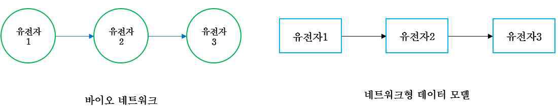 바이오 네트워크의 네트워크형 데이터 모델