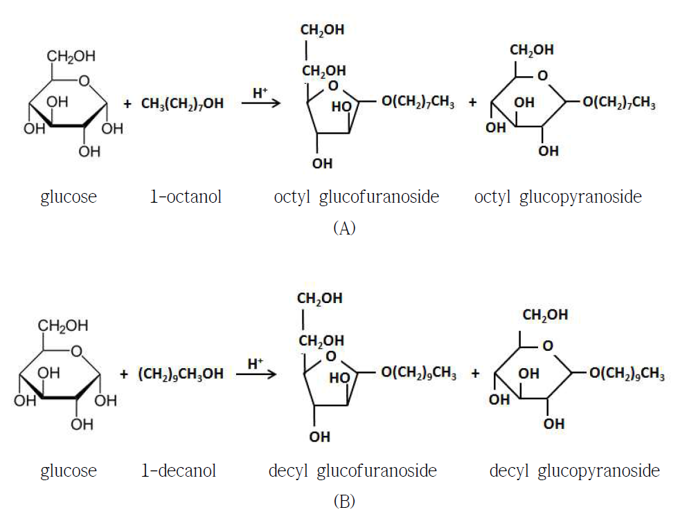 Reaction paths of formation of octyl glucoside (A) and decyl glucoside (B)