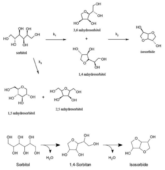 Reaction pathway of isosorbide synthesis