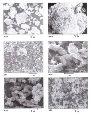 SEM images of MWW, BEA, MOR, FAU and MFI zeolites