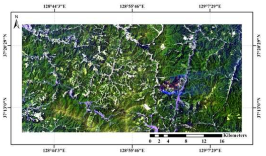 Landsat- 8 OLI 영상에서 SWIR2- SWIR1- Blue 밴드의 컬러조합으로 생성한 영상으로 삼척시 도계읍에서 발생한 산불의 현장을 나타냄