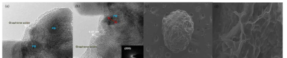 TEM images of PB-GO hydrogel beads: (a) low resolution, (b) high resolution (insert in (b) is the corresponding SAED pattern of the PB-GO hydrogel beads), and SEM images of PB-GO hydrogel beads: (c) whole sized, (d) vertical cross section