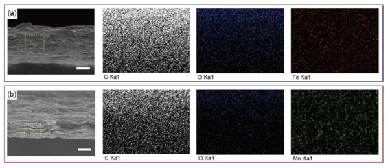 층상구조의 메탈전구체/산화된 그래핀 필름의 SEM 형상이미지 및 EDAX 이미지. 철전구체/산화된 그래핀 필름 (위쪽). 망간전구체/산화된 그래핀 필름 (아래쪽)