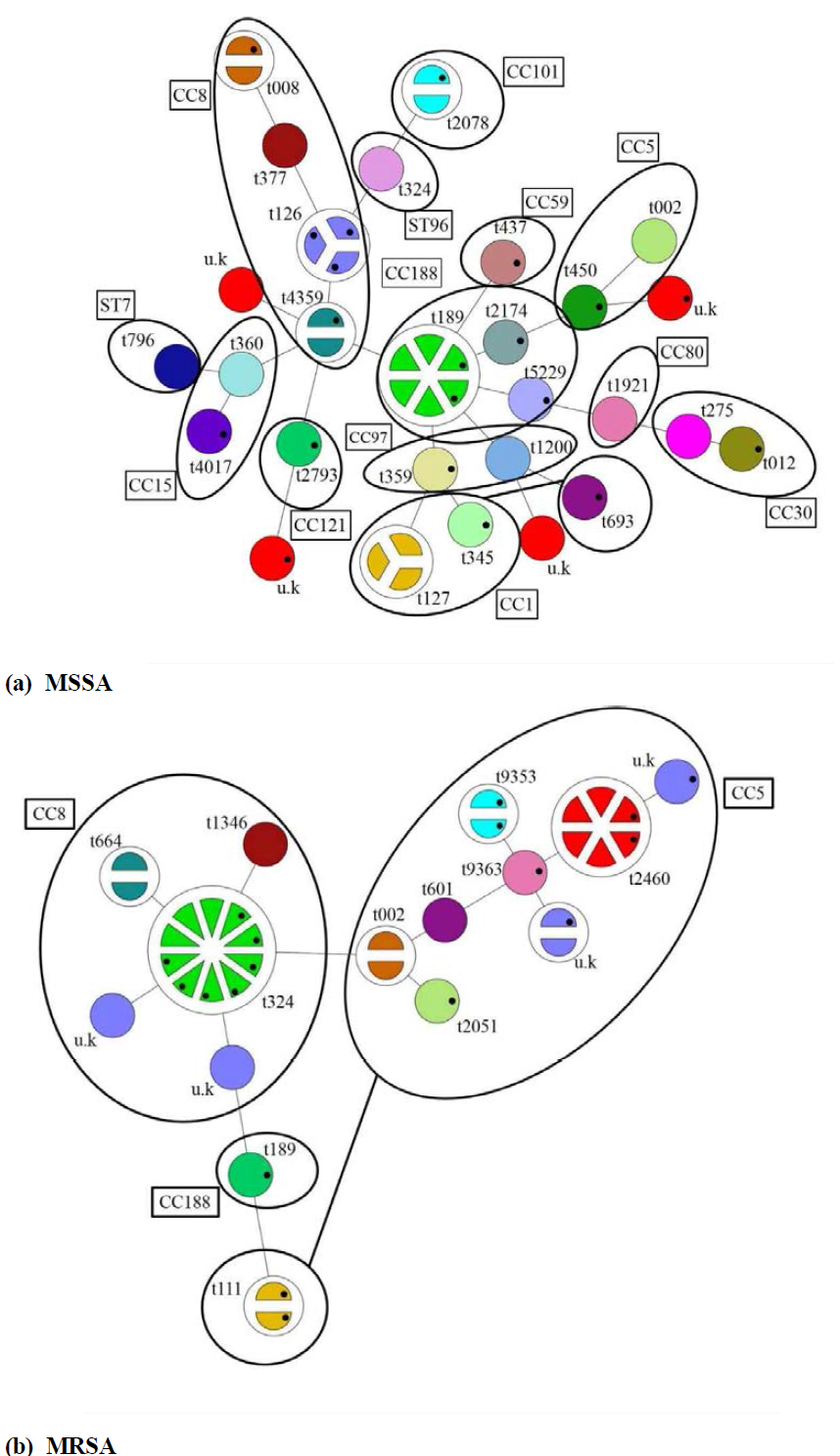 Phylogenetic tree of enrolled isolates by spa type and MLST (Note. Dot in the circle represented infective endocarditis isolates)