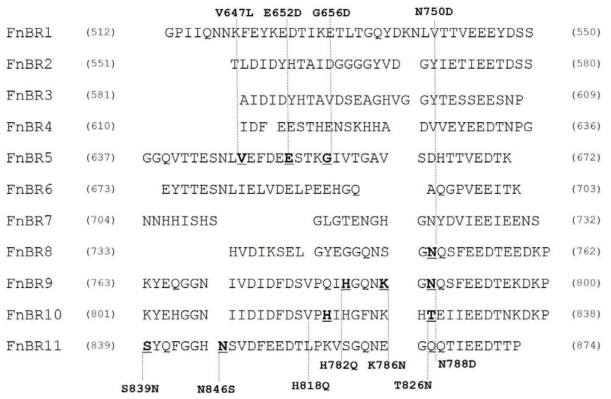 Location of frequent amino acid variation site in fibronectin binding protein A