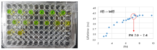 ′Sodium fluorescein′ 의 pH 에 따른 AMD-형광수명