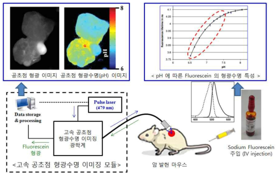 연구의 개요