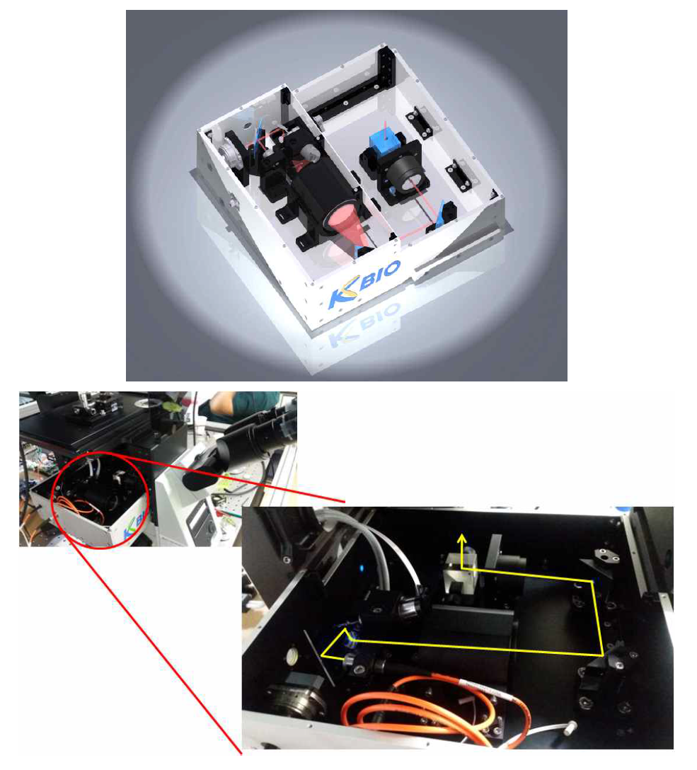 고속 공초점 AMD-형광수명 이미징을 위한 광학부