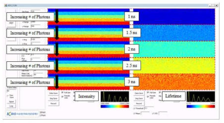 Simulation results