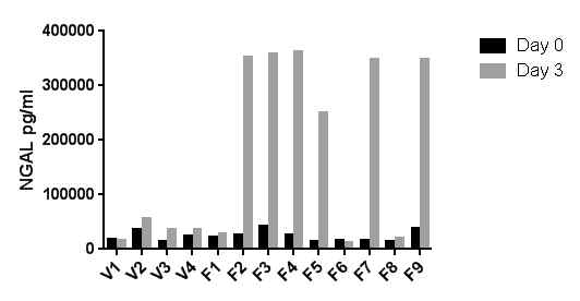 Vehicle (V1~4)과 folic acid 주입 마우스 (F1~9)의 3일차 urine의 NGAL 레벨