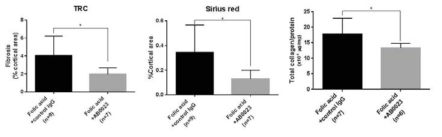 조직에서 trichrome과 sirius red 염색으로 fibrosis의 정도를 측정하였을 때 AB0023 투여군에서 fibrosis가 감소하였으며, total collagen 역시 AB0023 투여군에서 감소하였음