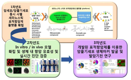 세라노스틱 스마트 표적항암제 합성 플랫폼 모식도와 연구개요