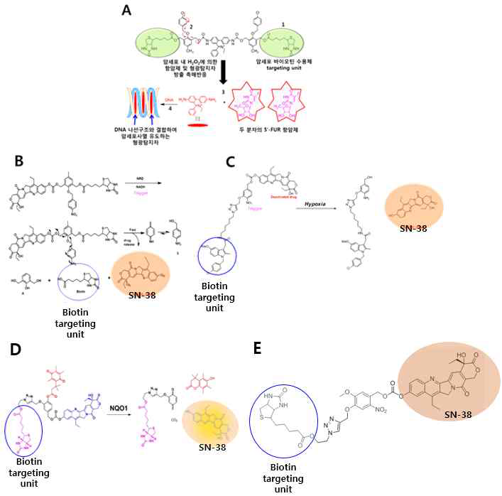 본 연구를 위해 합성된 4가지의 바이오틴 tragetting unit과 SN38을 가진 기본 1차 스마트 표적항암제 플랫폼 B-E 모식도