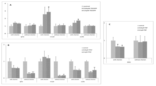 (A)TDCIPP 노출, (B) TPhP 노출에서 코리온 유무에 따른 igf1b, mmp, sox9b의 유전자발현비교. (C)TBP 노출에서 코리온 유무에 따른 ZHE1 유전자 발현비교