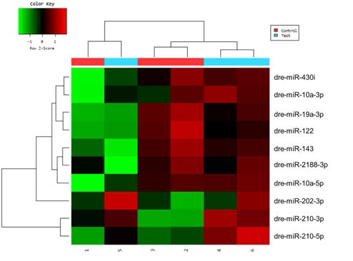 TDCIPP 6.4μM 에 24시간 노출 된 배아와 노출하지 않은 Control 배아에서의 microRNA 발현 차이